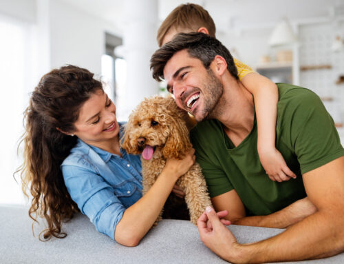 Risparmiare sulla bolletta: 5 segreti che non ti hanno detto